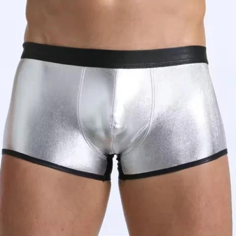 Tegan Fantezi Deri Görünümlü Gümüş Erkek Boxer Tanga TG274607