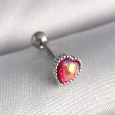 Tegan 316L Çelik Gümüş Renk Kırmızı Mineli Kalp Tragus Piercing TG27PR1267